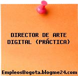 DIRECTOR DE ARTE DIGITAL (PRÁCTICA)