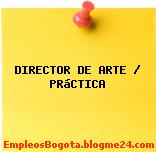 DIRECTOR DE ARTE / PRáCTICA