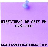 DIRECTOR(A) DE ARTE EN PRÁCTICA