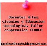 Docentes Artes visuales y Educacion tecnologica, Taller comprension TEMUCO