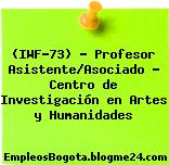 (IWF-73) – Profesor Asistente/Asociado – Centro de Investigación en Artes y Humanidades