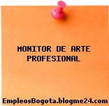 MONITOR DE ARTE PROFESIONAL