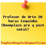 Profesor de Arte 20 horas Coquimbo (Reemplazo pre y post natal)