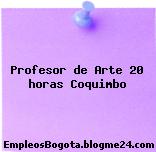 Profesor de Arte 20 horas Coquimbo