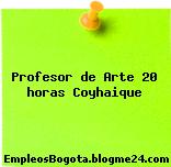 Profesor de Arte 20 horas Coyhaique