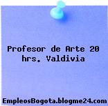 Profesor de Arte 20 hrs. Valdivia