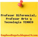 Profesor Diferencial, Profesor Arte y Tecnologia TEMUCO