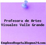 Profesora de Artes Visuales Valle Grande