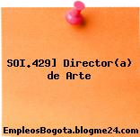 SOI.429] Director(a) de Arte