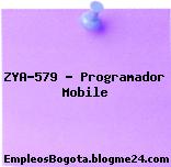 ZYA-579 – Programador Mobile