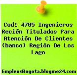 Cod: 4705 Ingenieros Recién Titulados Para Atención De Clientes (banco) Región De Los Lago