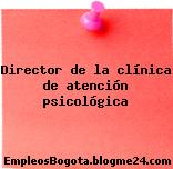 Director de la clínica de atención psicológica