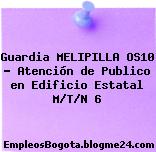 Guardia MELIPILLA OS10 – Atención de Publico en Edificio Estatal M/T/N 6