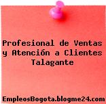 Profesional de Ventas y Atención a Clientes Talagante