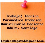Trabajo: Técnico Paramedico Atención Domiciliaria Paciente Adult, Santiago