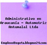 Administrativo en Araucanía – Automotriz Antumalal Ltda