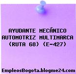 AYUDANTE MECÁNICO AUTOMOTRIZ MULTIMARCA (RUTA 68) (E-427)