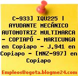 C-933] IQU225 | AYUDANTE MECÁNICO AUTOMOTRIZ MULTIMARCA – COPIAPÓ – MARICUNGA en Copiapo – J.941 en Copiapo – [MNZ-997] en Copiapo
