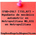 (FHD-291) [TSS.07] – Ayudante de mecánico automotriz en Metropolitana NG.631 en Metropolitana