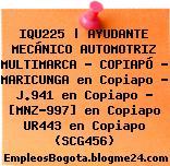 IQU225 | AYUDANTE MECÁNICO AUTOMOTRIZ MULTIMARCA – COPIAPÓ – MARICUNGA en Copiapo – J.941 en Copiapo – [MNZ-997] en Copiapo UR443 en Copiapo (SCG456)