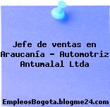 Jefe de ventas en Araucanía – Automotriz Antumalal Ltda