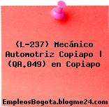 (L-237) Mecánico Automotriz Copiapo | (QA.049) en Copiapo
