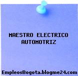 MAESTRO ELECTRICO AUTOMOTRIZ