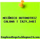MECÁNICO AUTOMOTRIZ CALAMA | [RZY.948]