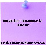 Mecanico Automotriz Junior