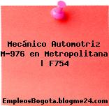 Mecánico Automotriz M-976 en Metropolitana | F754