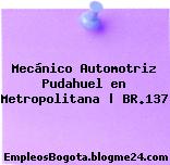 Mecánico Automotriz Pudahuel en Metropolitana | BR.137
