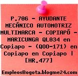P.706 – AYUDANTE MECÁNICO AUTOMOTRIZ MULTIMARCA – COPIAPÓ – MARICUNGA QL034 en Copiapo – (QOO-171) en Copiapo en Copiapo | [HR.477]