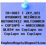 (R-366) | ZKY.921 AYUDANTE MECÁNICO AUTOMOTRIZ MULTIMARCA – COPIAPÓ – MARICUNGA QL034 en Copiapo en Copiapo en Copiapo