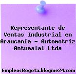 Representante de Ventas Industrial en Araucanía – Automotriz Antumalal Ltda