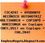 (SC429) – AYUDANTE MECÁNICO AUTOMOTRIZ MULTIMARCA – COPIAPÓ – MARICUNGA en Copiapo (BKV.951) en Copiapo – (UM.204)