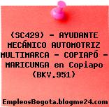 (SC429) – AYUDANTE MECÁNICO AUTOMOTRIZ MULTIMARCA – COPIAPÓ – MARICUNGA en Copiapo (BKV.951)