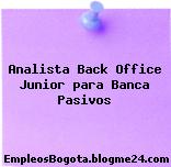 Analista Back Office Junior para Banca (Pasivos)