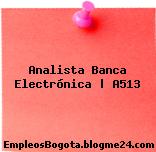 Analista Banca Electrónica | A513