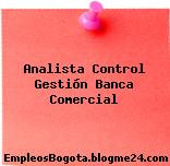 Analista Control Gestión Banca Comercial