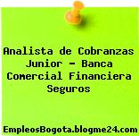 Analista de Cobranzas Junior – Banca Comercial Financiera Seguros