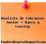 Analista de Cobranzas Senior – Banca y Leasing