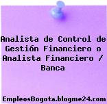 Analista de Control de Gestión Financiero o Analista Financiero / Banca