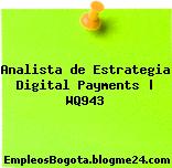Analista de Estrategia Digital Payments | WQ943