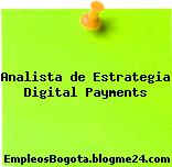 Analista de Estrategia Digital Payments