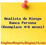 Analista de Riesgo Banca Persona (Reemplazo 4-6 meses)