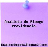 Analista de Riesgo Providencia