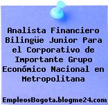 Analista Financiero Bilingüe Junior Para el Corporativo de Importante Grupo Económico Nacional en Metropolitana