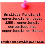 Analista Funcional experiencia en Java, J2EE, experiencia contenidos Web experiencia en Banca