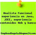 Analista Funcional experiencia en Java, J2EE, experiencia contenidos Web y banca
