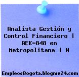 Analista Gestión y Control Financiero | AEK-848 en Metropolitana | N